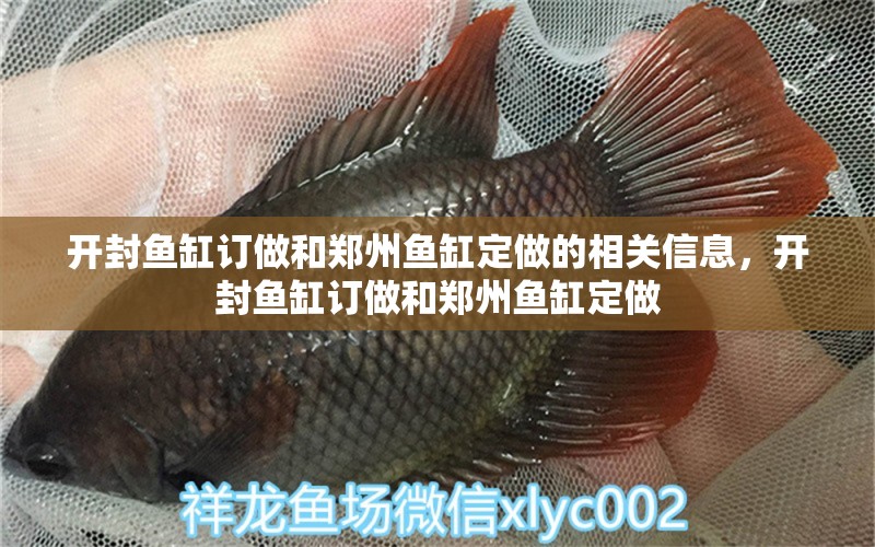 开封鱼缸订做和郑州鱼缸定做的相关信息，开封鱼缸订做和郑州鱼缸定做