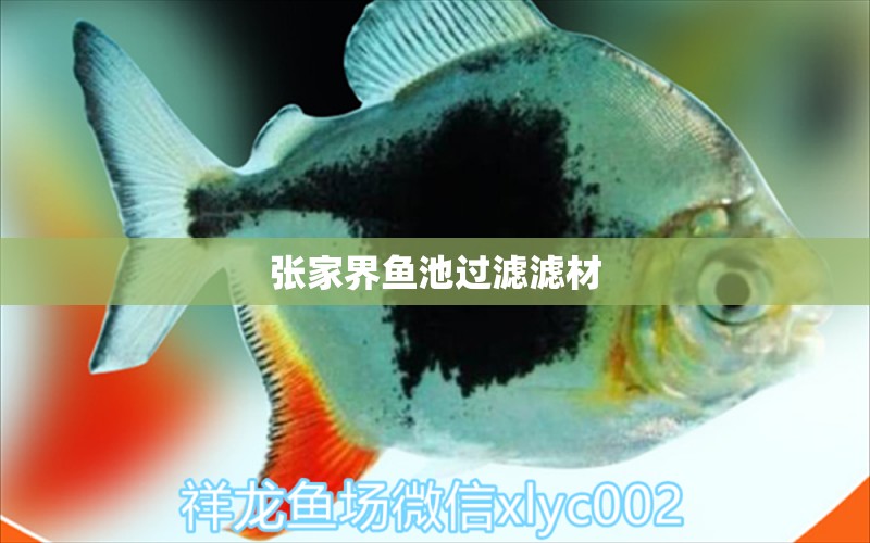 张家界鱼池过滤滤材 广州水族器材滤材批发市场