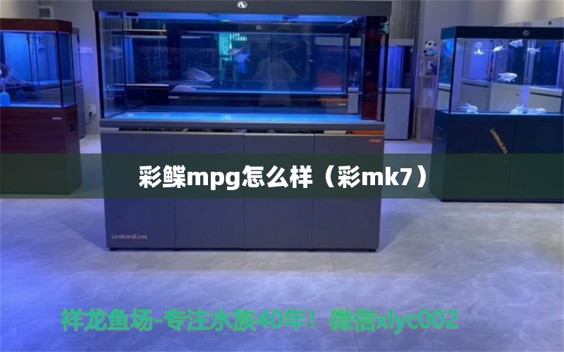 彩鲽mpg怎么样（彩mk7）