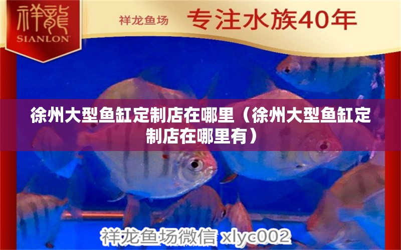 徐州大型鱼缸定制店在哪里（徐州大型鱼缸定制店在哪里有） 鸭嘴鲨鱼