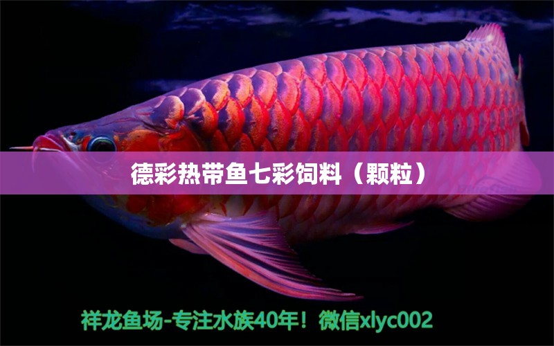 德彩热带鱼七彩饲料（颗粒） 广州水族器材滤材批发市场