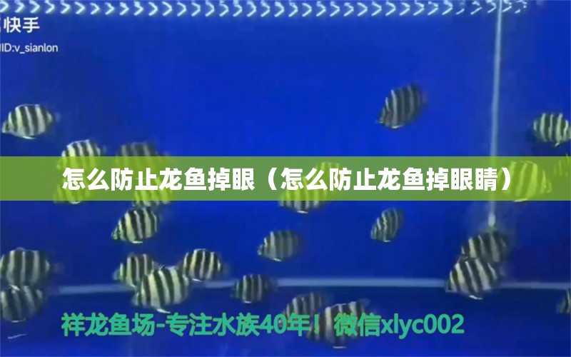 怎么防止龙鱼掉眼（怎么防止龙鱼掉眼睛） 广州龙鱼批发市场