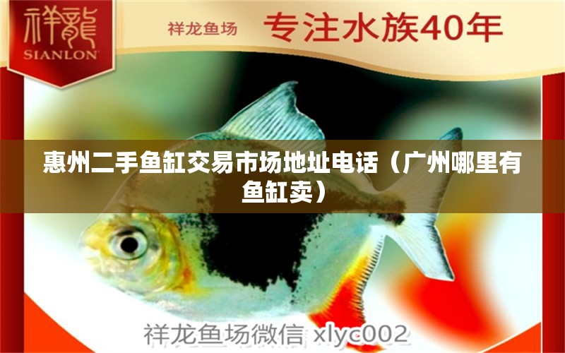 惠州二手鱼缸交易市场地址电话（广州哪里有鱼缸卖）