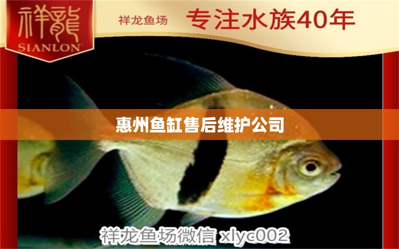 惠州鱼缸售后维护公司 其他品牌鱼缸
