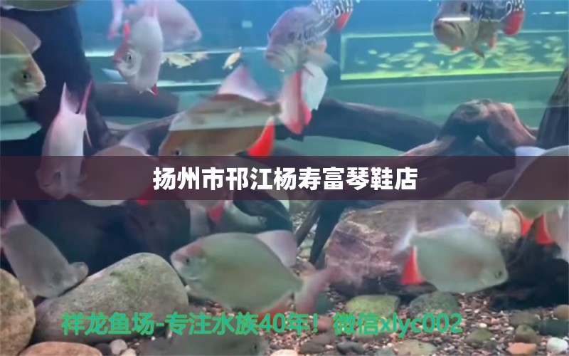 扬州市邗江杨寿富琴鞋店 全国水族馆企业名录