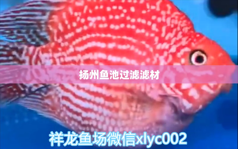 扬州鱼池过滤滤材 广州水族器材滤材批发市场