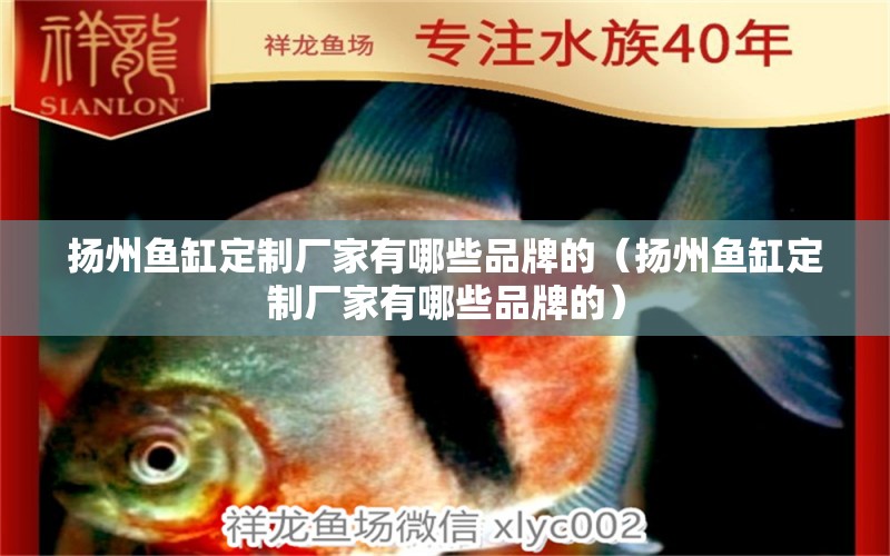 扬州鱼缸定制厂家有哪些品牌的（扬州鱼缸定制厂家有哪些品牌的）