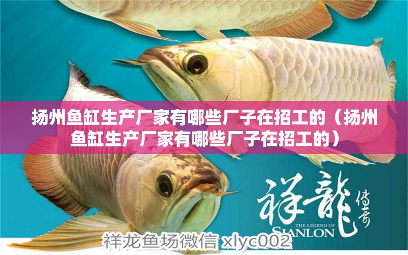 扬州鱼缸生产厂家有哪些厂子在招工的（扬州鱼缸生产厂家有哪些厂子在招工的）