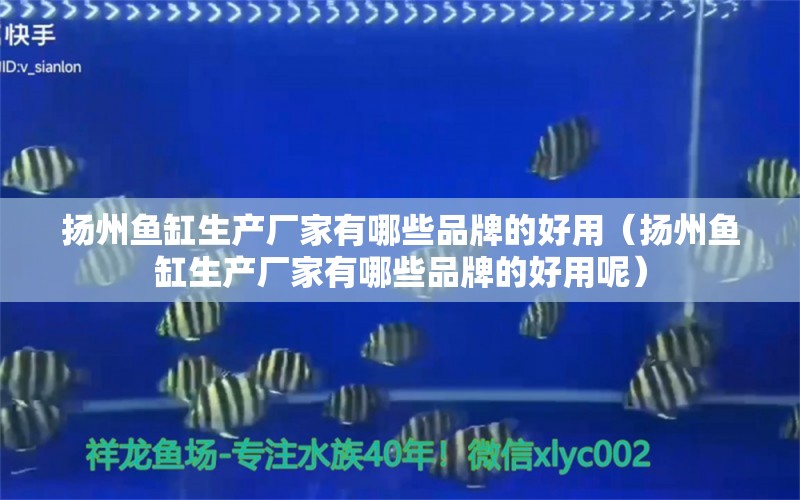 扬州鱼缸生产厂家有哪些品牌的好用（扬州鱼缸生产厂家有哪些品牌的好用呢） 其他品牌鱼缸