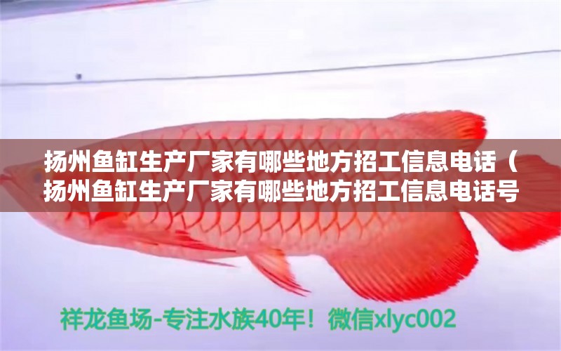 扬州鱼缸生产厂家有哪些地方招工信息电话（扬州鱼缸生产厂家有哪些地方招工信息电话号码）