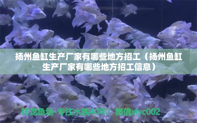 扬州鱼缸生产厂家有哪些地方招工（扬州鱼缸生产厂家有哪些地方招工信息）