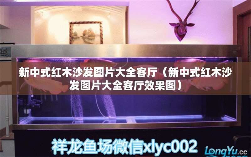 新中式红木沙发图片大全客厅（新中式红木沙发图片大全客厅效果图）