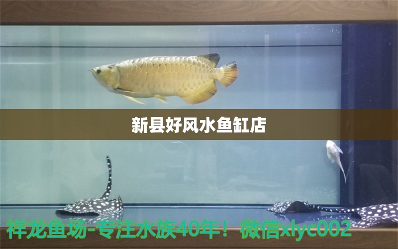 新县好风水鱼缸店 全国水族馆企业名录
