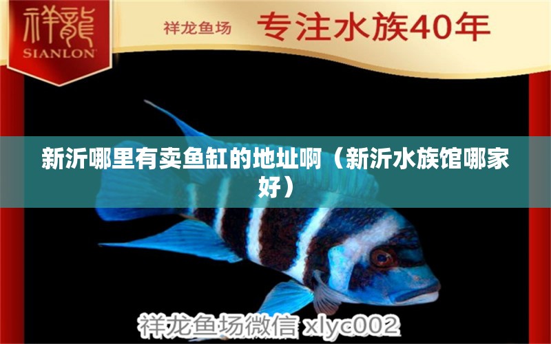 新沂哪里有卖鱼缸的地址啊（新沂水族馆哪家好） 广州观赏鱼批发市场