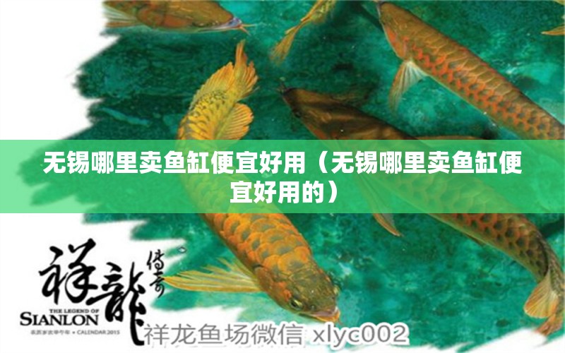 无锡哪里卖鱼缸便宜好用（无锡哪里卖鱼缸便宜好用的） 广州龙鱼批发市场