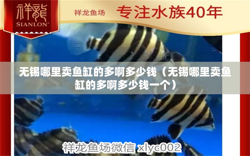 无锡哪里卖鱼缸的多啊多少钱（无锡哪里卖鱼缸的多啊多少钱一个） 广州祥龙国际水族贸易