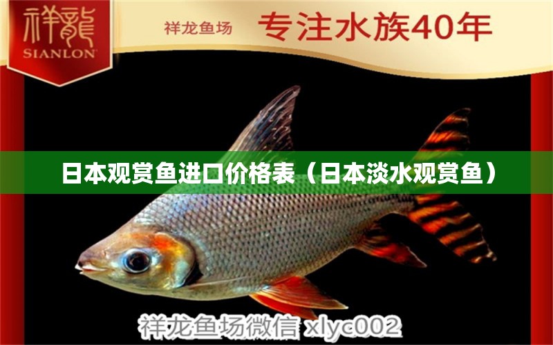 日本观赏鱼进口价格表（日本淡水观赏鱼）