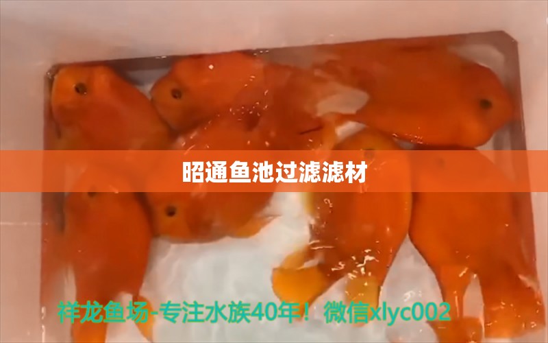 昭通鱼池过滤滤材 广州水族器材滤材批发市场