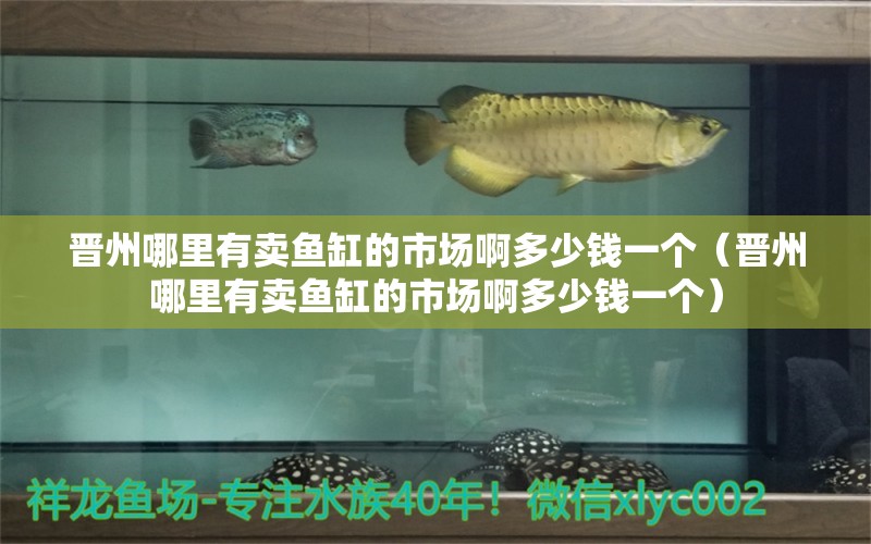 晋州哪里有卖鱼缸的市场啊多少钱一个（晋州哪里有卖鱼缸的市场啊多少钱一个）