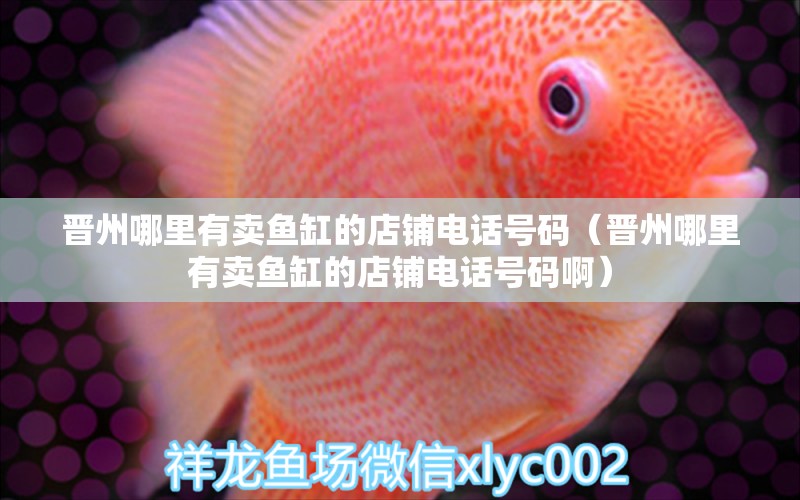 晋州哪里有卖鱼缸的店铺电话号码（晋州哪里有卖鱼缸的店铺电话号码啊）