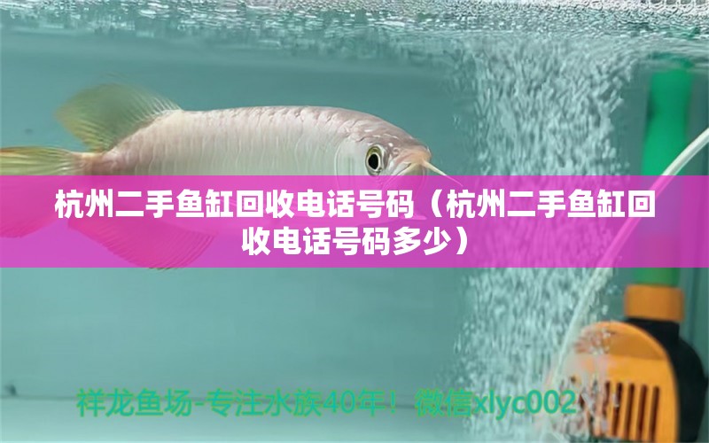 杭州二手鱼缸回收电话号码（杭州二手鱼缸回收电话号码多少） 祥龙鱼场