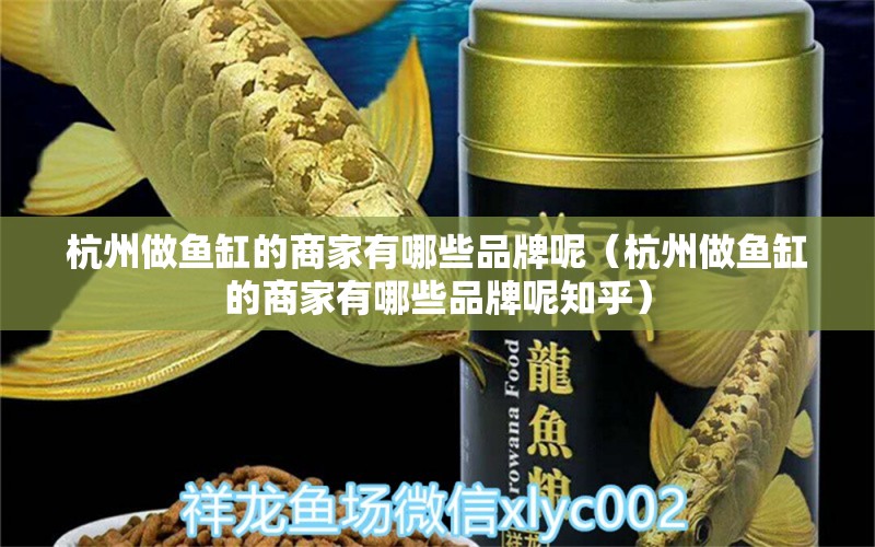 杭州做鱼缸的商家有哪些品牌呢（杭州做鱼缸的商家有哪些品牌呢知乎） 观赏鱼市场（混养鱼）
