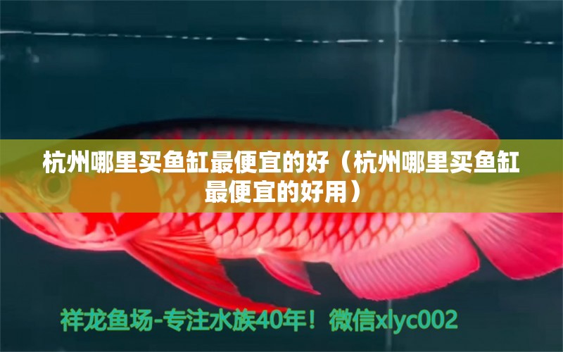 杭州哪里买鱼缸最便宜的好（杭州哪里买鱼缸最便宜的好用） 古典过背金龙鱼