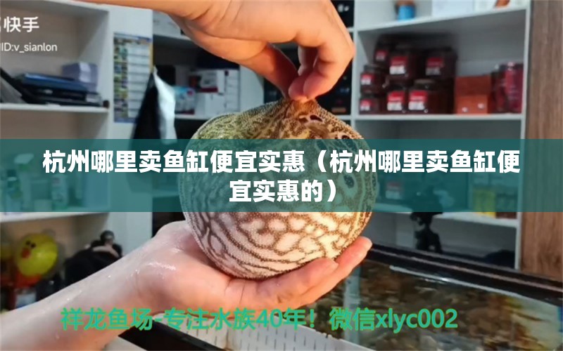 杭州哪里卖鱼缸便宜实惠（杭州哪里卖鱼缸便宜实惠的） 祥龙水族医院