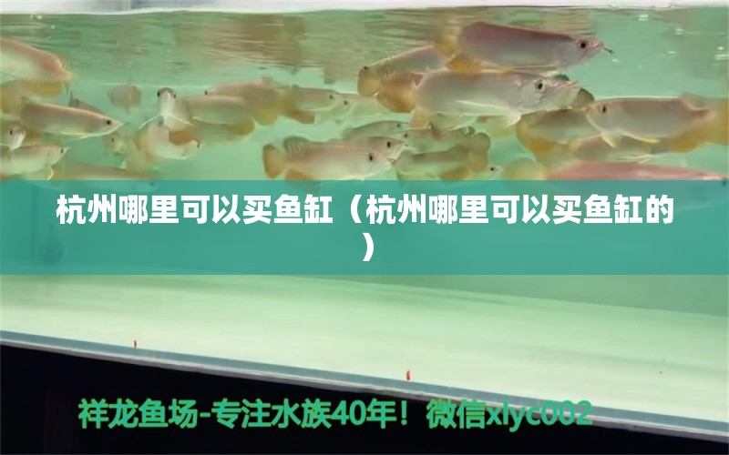 杭州哪里可以买鱼缸（杭州哪里可以买鱼缸的）