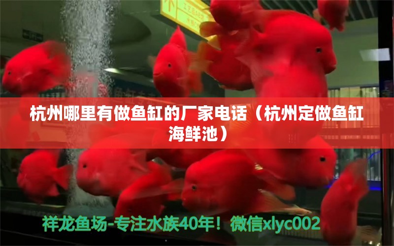 杭州哪里有做鱼缸的厂家电话（杭州定做鱼缸海鲜池）