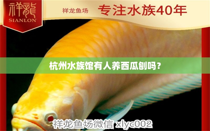 杭州水族馆有人养西瓜刨吗？
