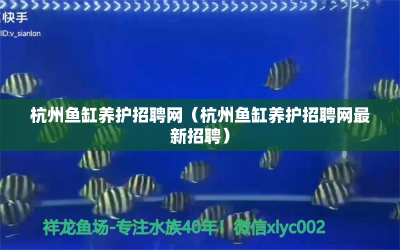 杭州鱼缸养护招聘网（杭州鱼缸养护招聘网最新招聘） 二氧化碳设备