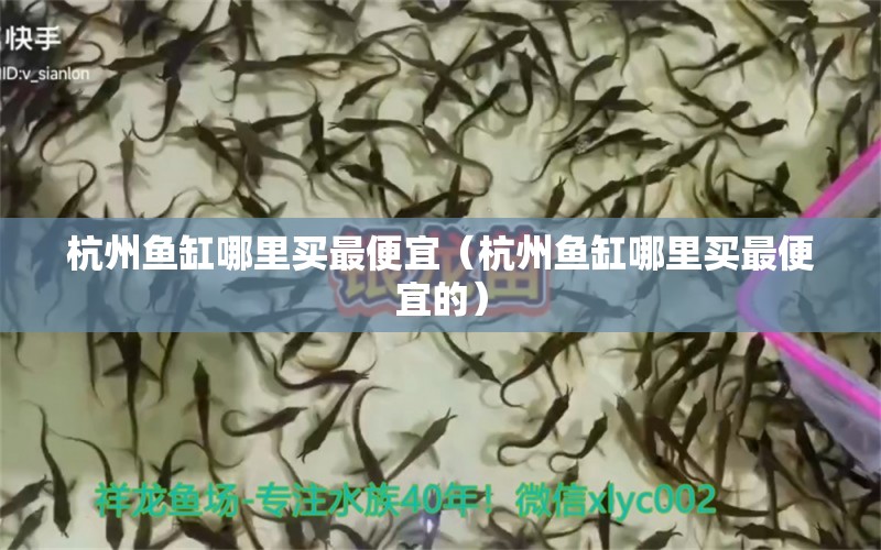 杭州鱼缸哪里买最便宜（杭州鱼缸哪里买最便宜的） 其他品牌鱼缸