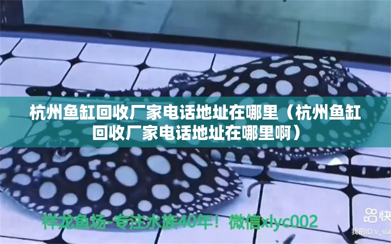 杭州鱼缸回收厂家电话地址在哪里（杭州鱼缸回收厂家电话地址在哪里啊） 观赏鱼市场（混养鱼）