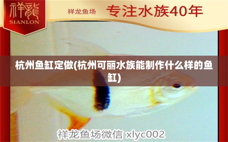 杭州鱼缸定做(杭州可丽水族能制作什么样的鱼缸)