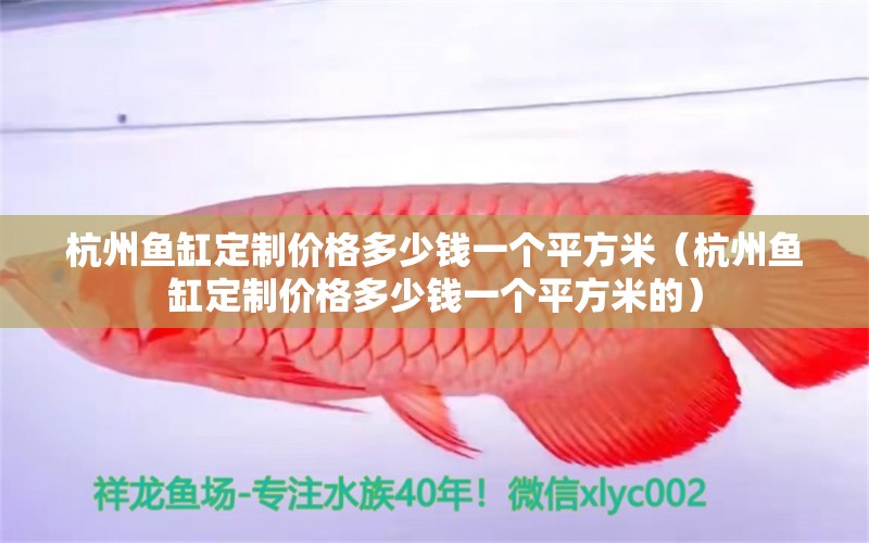 杭州鱼缸定制价格多少钱一个平方米（杭州鱼缸定制价格多少钱一个平方米的）