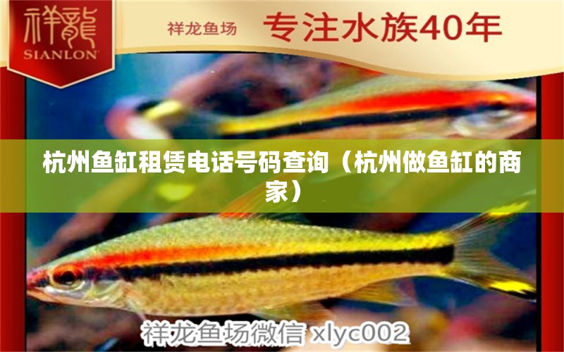 杭州鱼缸租赁电话号码查询（杭州做鱼缸的商家） 新加坡号半红龙鱼（练手级红龙鱼）
