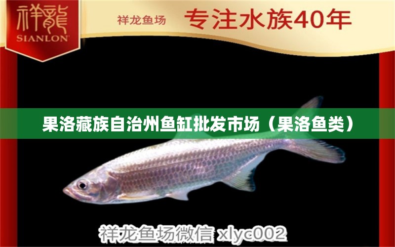 果洛藏族自治州鱼缸批发市场（果洛鱼类）