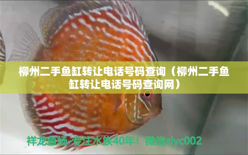柳州二手鱼缸转让电话号码查询（柳州二手鱼缸转让电话号码查询网） 观赏鱼市场（混养鱼）