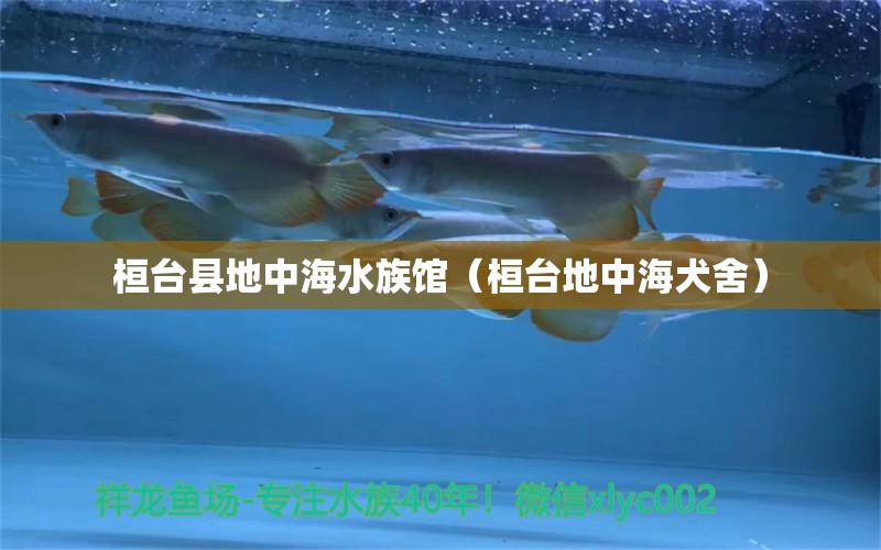 桓台县地中海水族馆（桓台地中海犬舍）