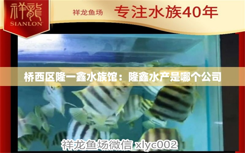 桥西区隆一鑫水族馆：隆鑫水产是哪个公司 全国水族馆企业名录