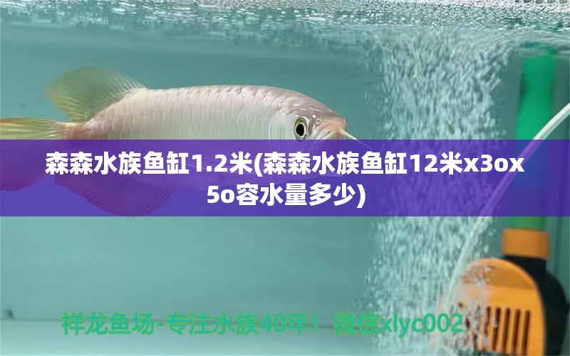 森森水族鱼缸1.2米(森森水族鱼缸12米x3ox5o容水量多少) 大嘴鲸鱼