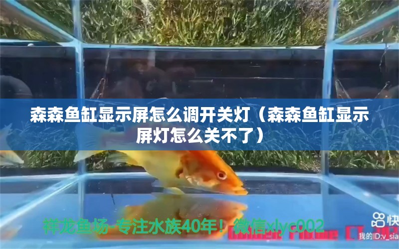 森森鱼缸显示屏怎么调开关灯（森森鱼缸显示屏灯怎么关不了）
