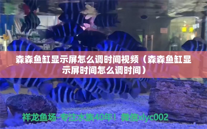 森森鱼缸显示屏怎么调时间视频（森森鱼缸显示屏时间怎么调时间）
