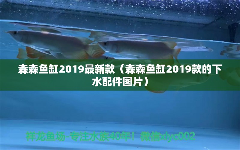 森森鱼缸2019最新款（森森鱼缸2019款的下水配件图片） iwish爱唯希品牌鱼缸