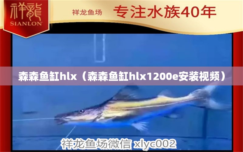 森森鱼缸hlx（森森鱼缸hlx1200e安装视频）