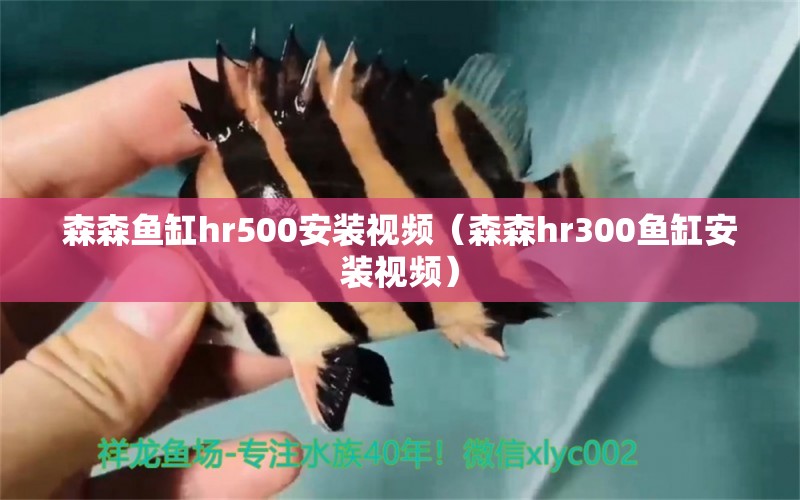 森森鱼缸hr500安装视频（森森hr300鱼缸安装视频） 过滤设备