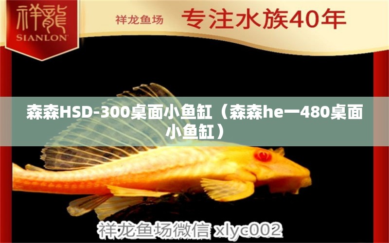 森森HSD-300桌面小鱼缸（森森he一480桌面小鱼缸） 森森鱼缸