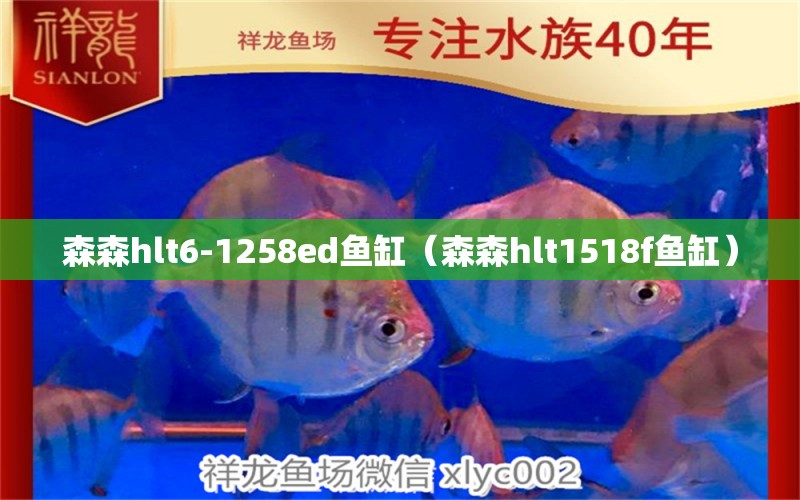 森森hlt6-1258ed鱼缸（森森hlt1518f鱼缸）