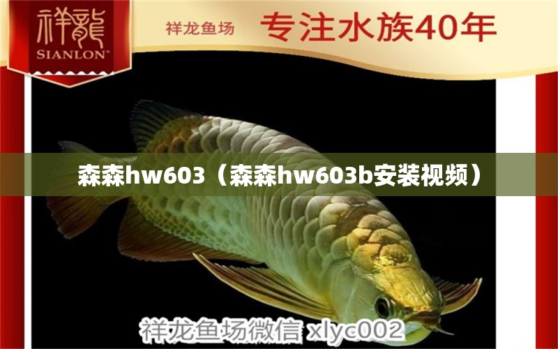 森森hw603（森森hw603b安装视频） 森森鱼缸
